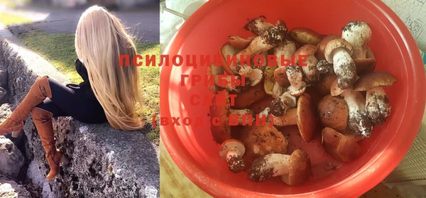 кристаллы Богданович