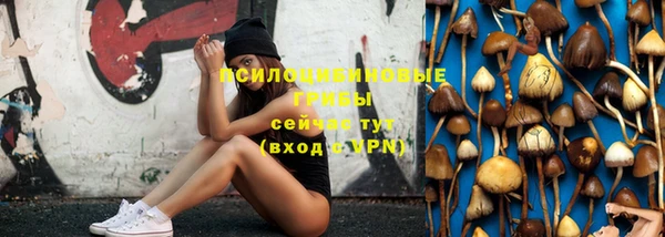 jwh Бородино