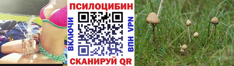 Псилоцибиновые грибы мухоморы  MEGA ONION  Тобольск 